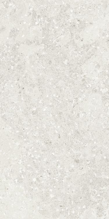 Sea Luster Bianca Matte 24 x 48